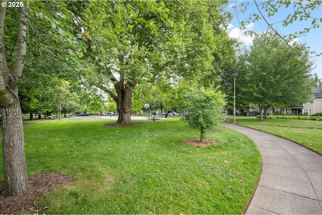 9325 N Haven Ave, Portland, OR 97203 - surrounding community with a yard