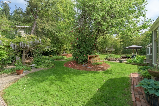 view of yard
