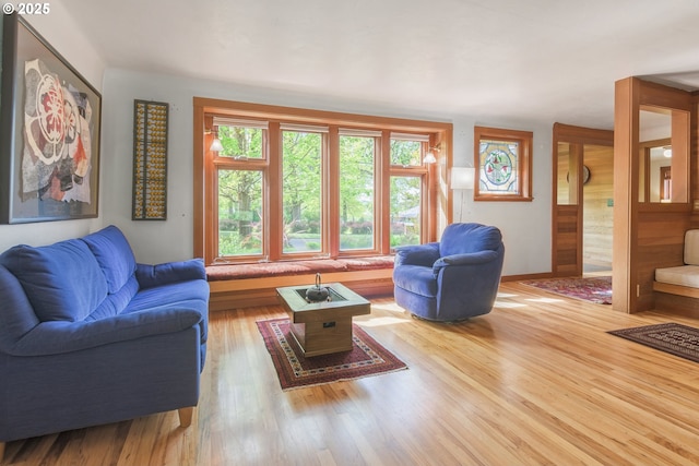 living area featuring baseboards and wood finished floors