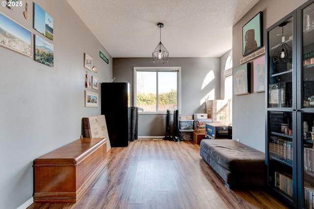 living area with hardwood / wood-style floors and a textured ceiling