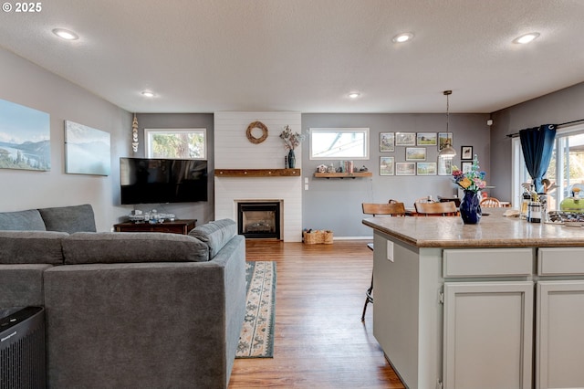 living room featuring plenty of natural light, a fireplace, and light hardwood / wood-style floors