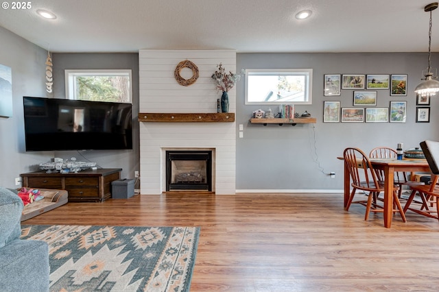 living room featuring hardwood / wood-style floors and a fireplace