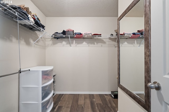 walk in closet with dark hardwood / wood-style floors