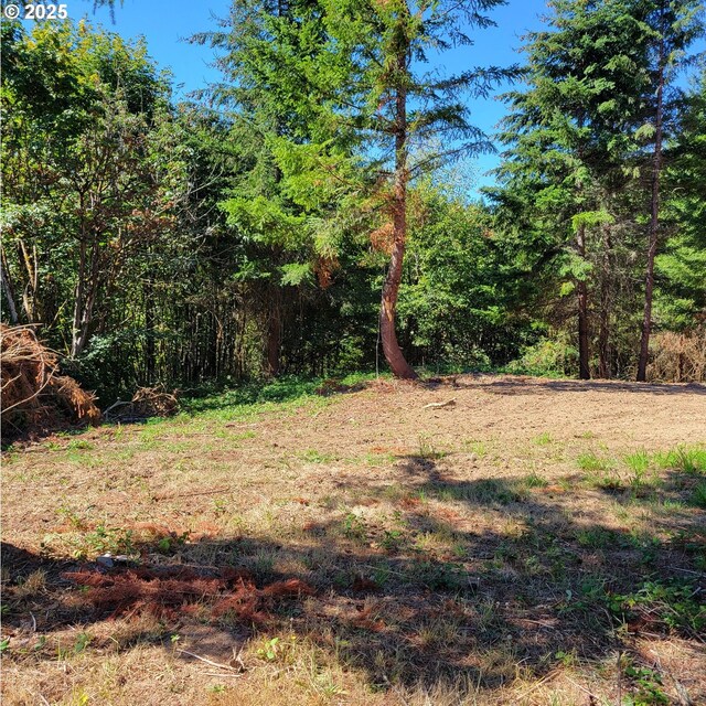 Peter St Unit 1S, Warren, OR 97053