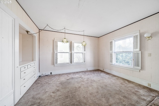 spare room featuring a wealth of natural light and carpet