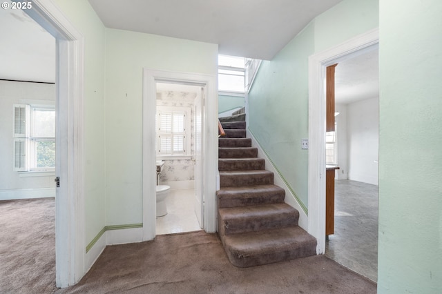 staircase with carpet flooring