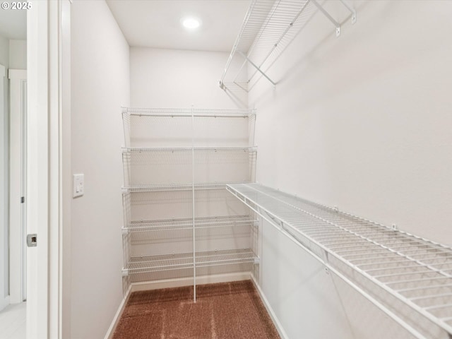 11179 SE Honorable Way, Happy Valley, OR 97086 - walk in closet with carpet flooring