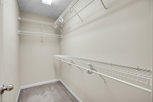 1259 SE Stapleton Loop, Gresham, OR 97080 - walk in closet featuring light colored carpet