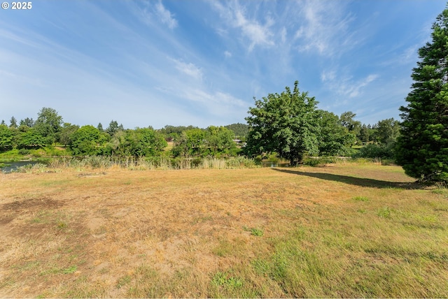 154 W Hickory St, Roseburg, OR 97471 - view of undeveloped land