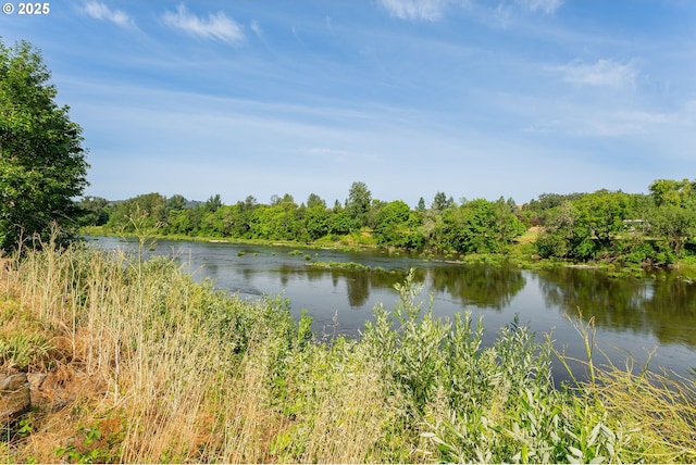154 W Hickory St, Roseburg, OR 97471 - water view featuring a forest