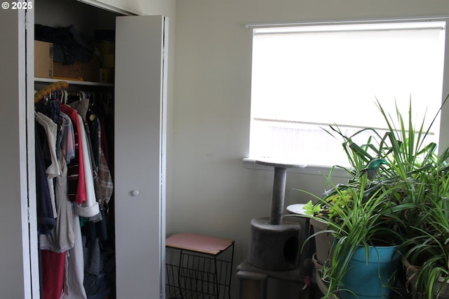 view of closet