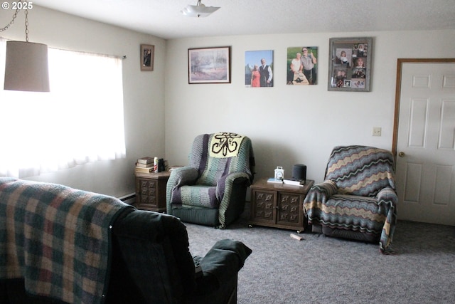 carpeted living room featuring plenty of natural light