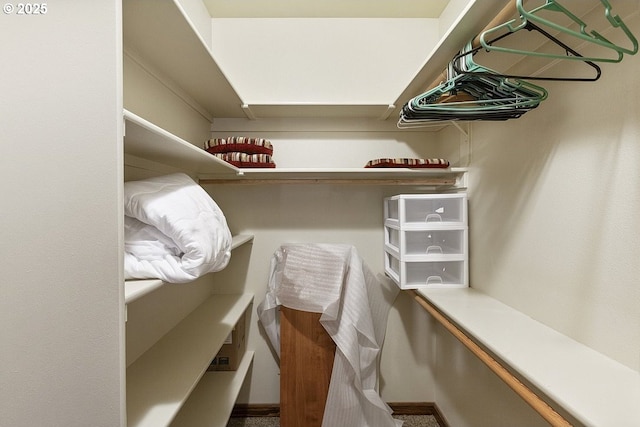view of walk in closet