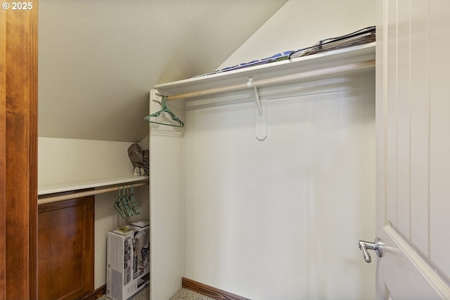 spacious closet with vaulted ceiling