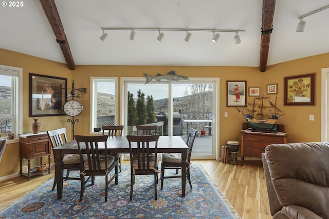 dining room featuring a healthy amount of sunlight, light wood-style flooring, and beamed ceiling