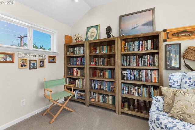 405 Elrod Ave, Maupin, OR 97037 - living area featuring carpet flooring and lofted ceiling