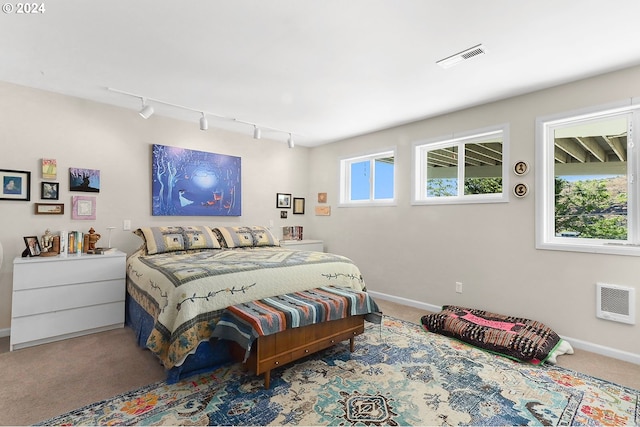 bedroom with rail lighting, carpet, multiple windows, and visible vents