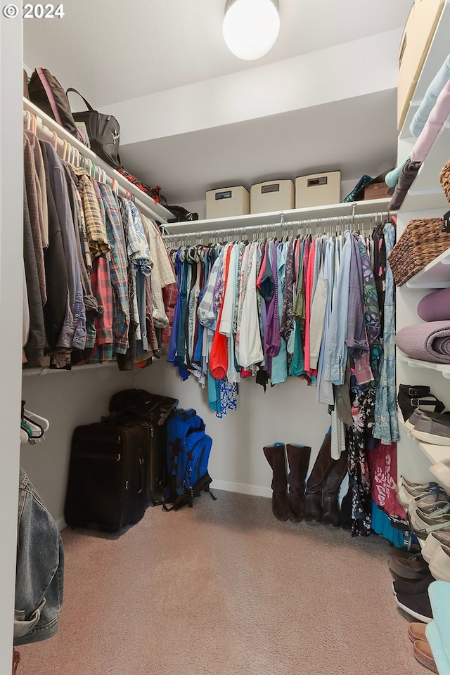 spacious closet with carpet flooring