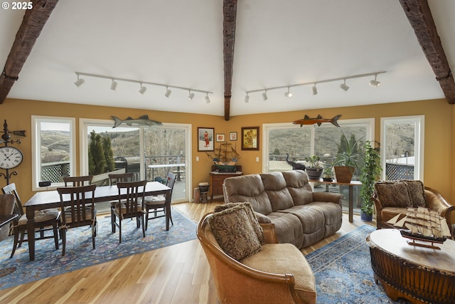 living area with light wood-type flooring, a wealth of natural light, and beam ceiling