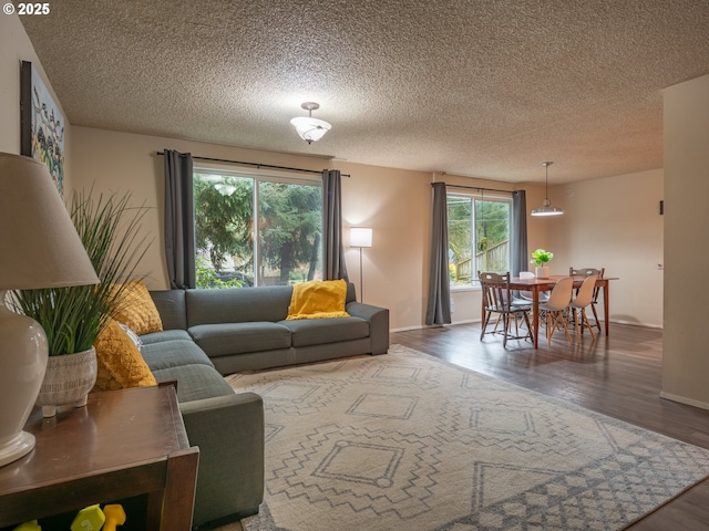 living room with hardwood / wood-style flooring and a textured ceiling