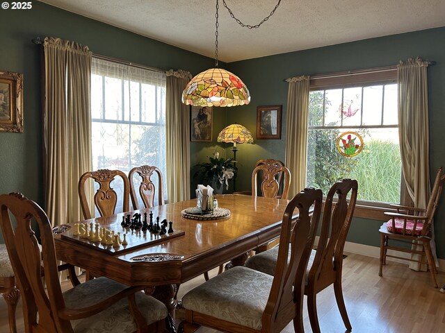 carpeted living room featuring a healthy amount of sunlight