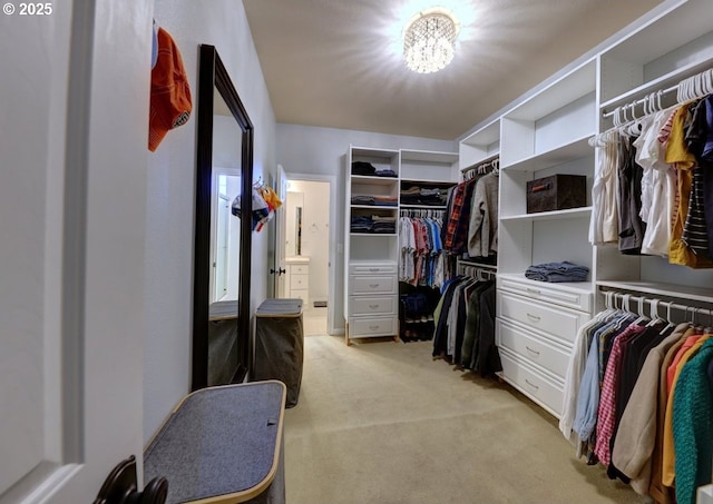 spacious closet featuring light carpet