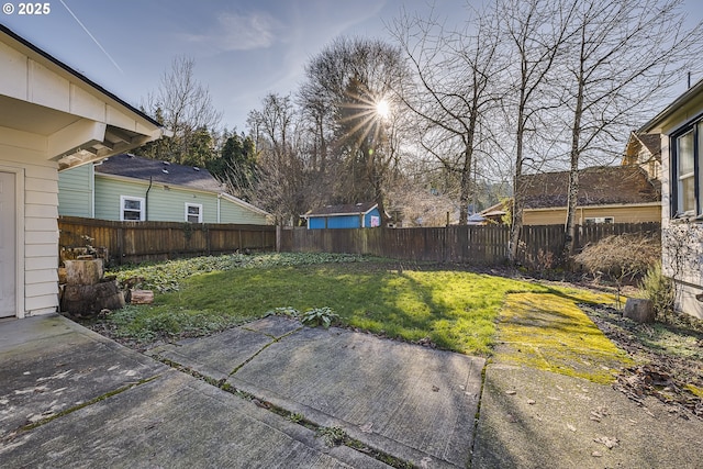 view of yard featuring a patio area