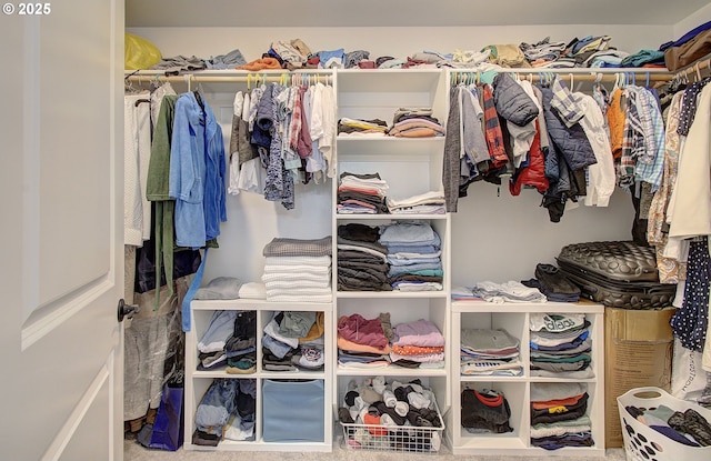view of spacious closet