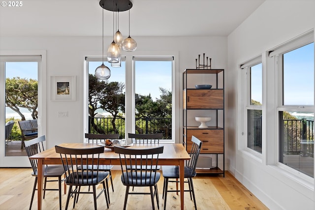 dining room with light wood finished floors and plenty of natural light
