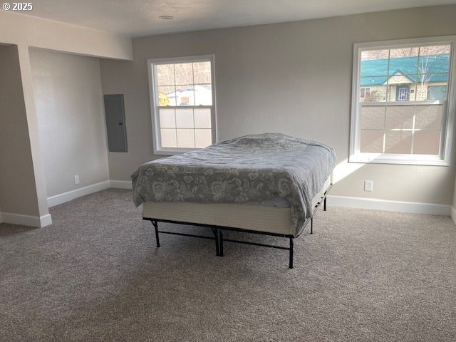 100 NW 7th Ave, John Day, OR 97845 - bedroom with electric panel, baseboards, and carpet flooring