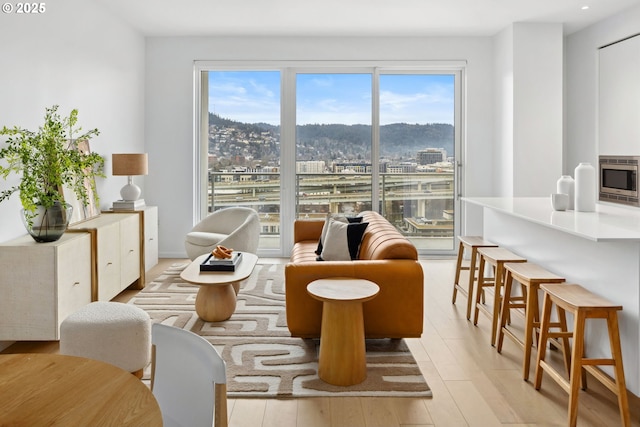 living area featuring light wood-style flooring