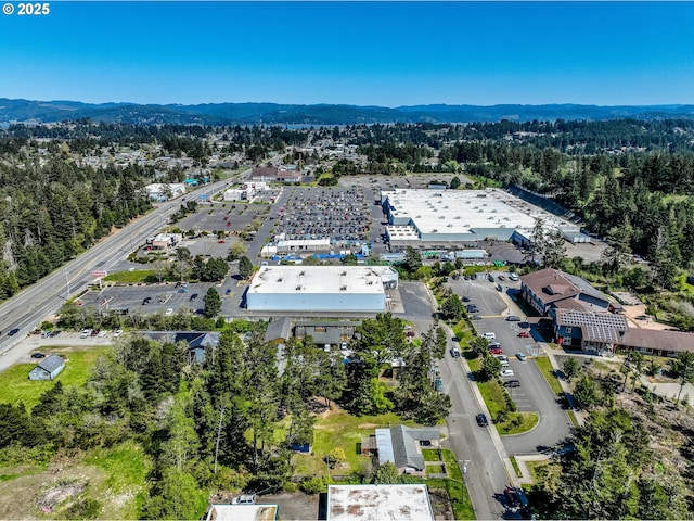 drone / aerial view with a wooded view and a mountain view