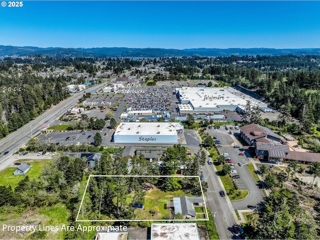 birds eye view of property with a mountain view and a forest view