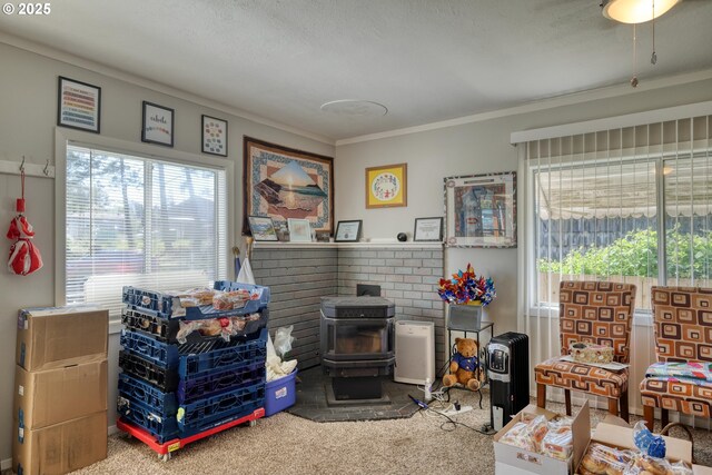 interior space with carpet, a healthy amount of sunlight, crown molding, and a wood stove