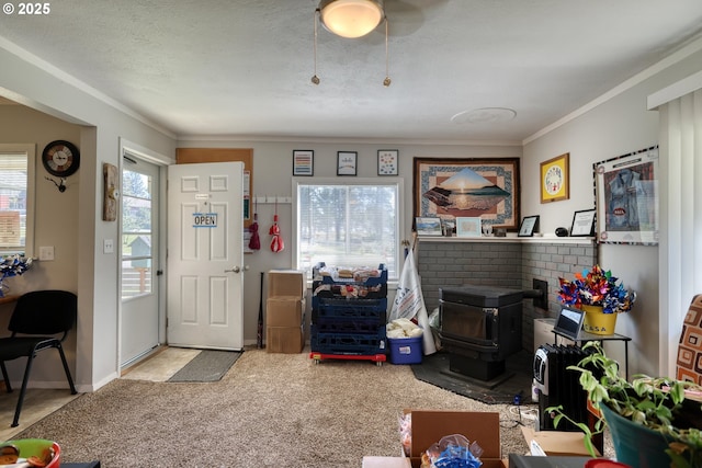 living area featuring ornamental molding, carpet flooring, a wood stove, and baseboards