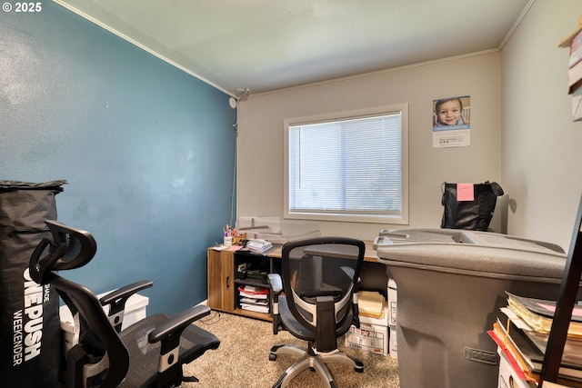 office with ornamental molding and carpet flooring