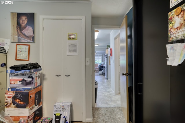 hall with crown molding and carpet