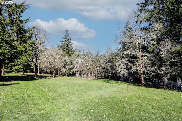 view of yard with a wooded view