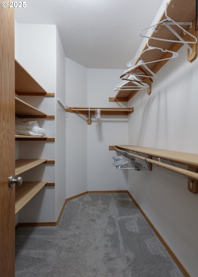 4080 Cunningham Dr, Mount Hood Prkdl, OR 97041 - spacious closet featuring carpet flooring