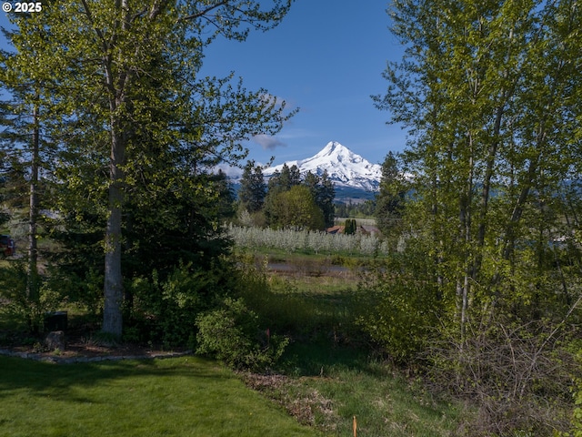 4080 Cunningham Dr, Mount Hood Prkdl, OR 97041 - exterior space