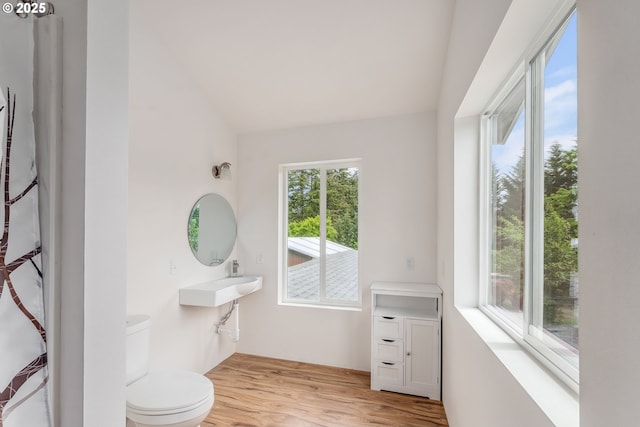 250 Valley View Rd, Sutherlin, OR 97479 - bathroom featuring wood finished floors, toilet, and lofted ceiling