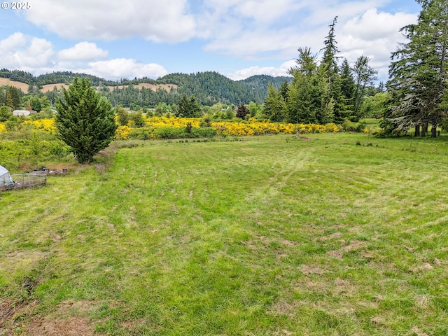 250 Valley View Rd, Sutherlin, OR 97479 - view of green lawn with a rural view and a mountain view