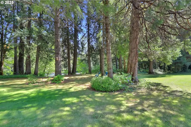 56411 Mckenzie Hwy Unit 6, Mckenzie Bridge, OR 97413 - view of green lawn