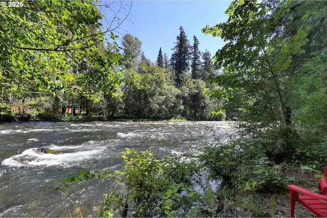 property view of water