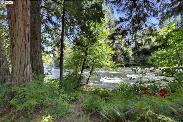 view of local wilderness