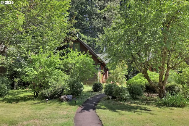 56411 Mckenzie Hwy Unit 6, Mckenzie Bridge, OR 97413 - view of green lawn