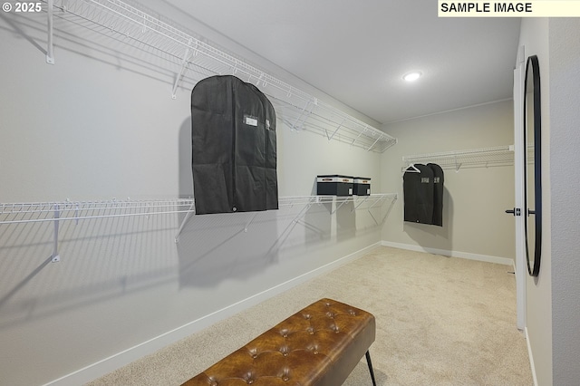 walk in closet with carpet flooring