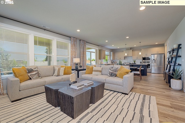 living room with light hardwood / wood-style floors