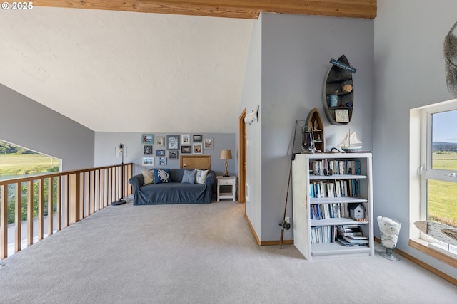 33645 Resort Dr, Pacific City, OR 97135 - living area featuring carpet and baseboards