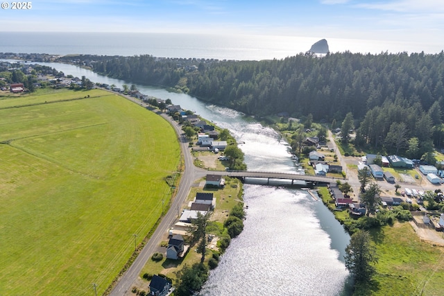 33645 Resort Dr, Pacific City, OR 97135 - bird's eye view of a large body of water